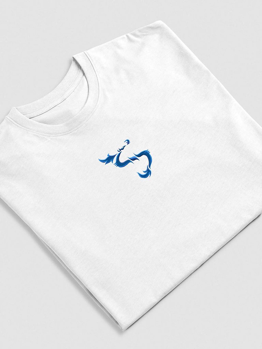 RISE T-shirt SPECIAL product image (24)