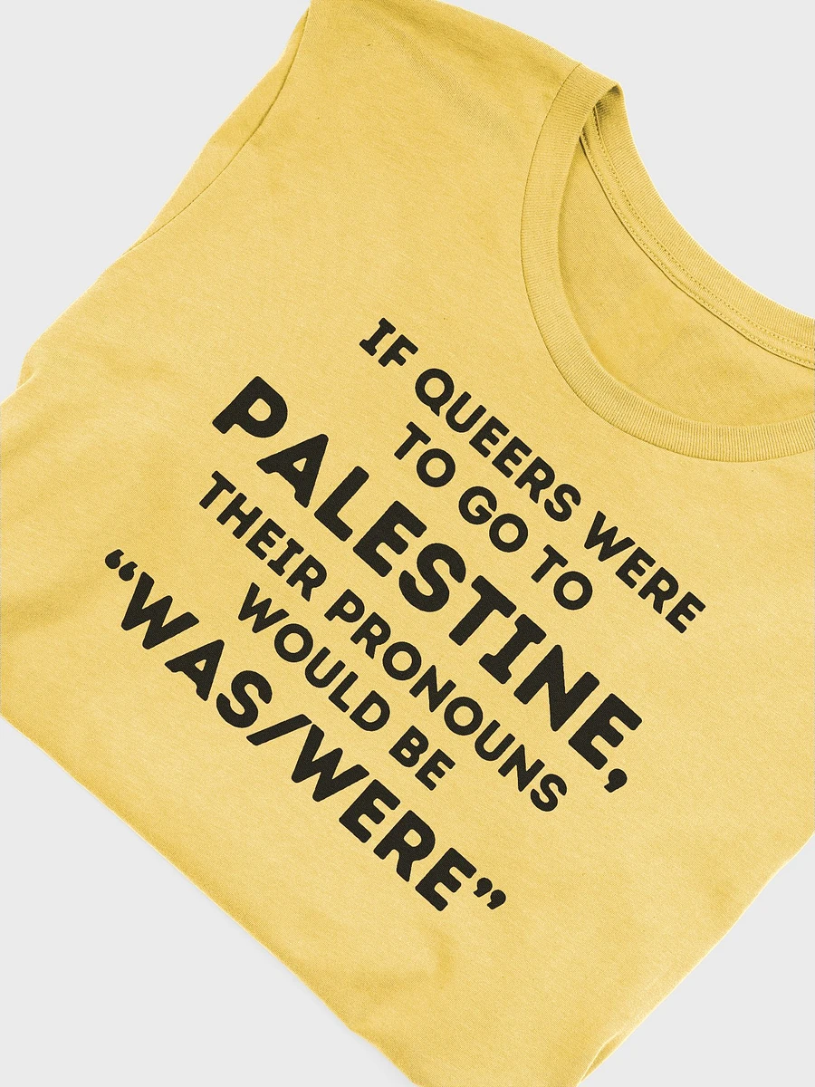 Queers for Palestine Shirt product image (61)