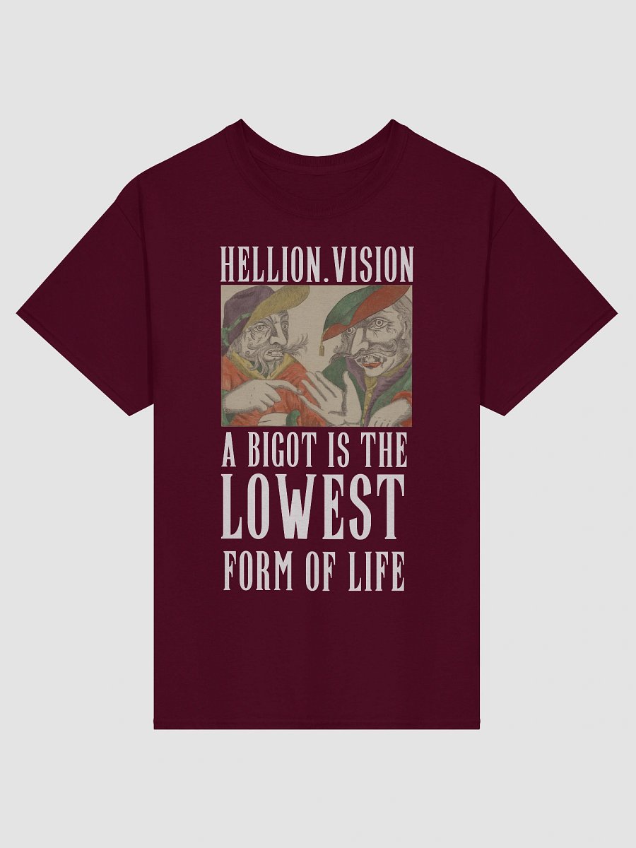 A Bigot Is The Lowest Form of Life Tee product image (1)