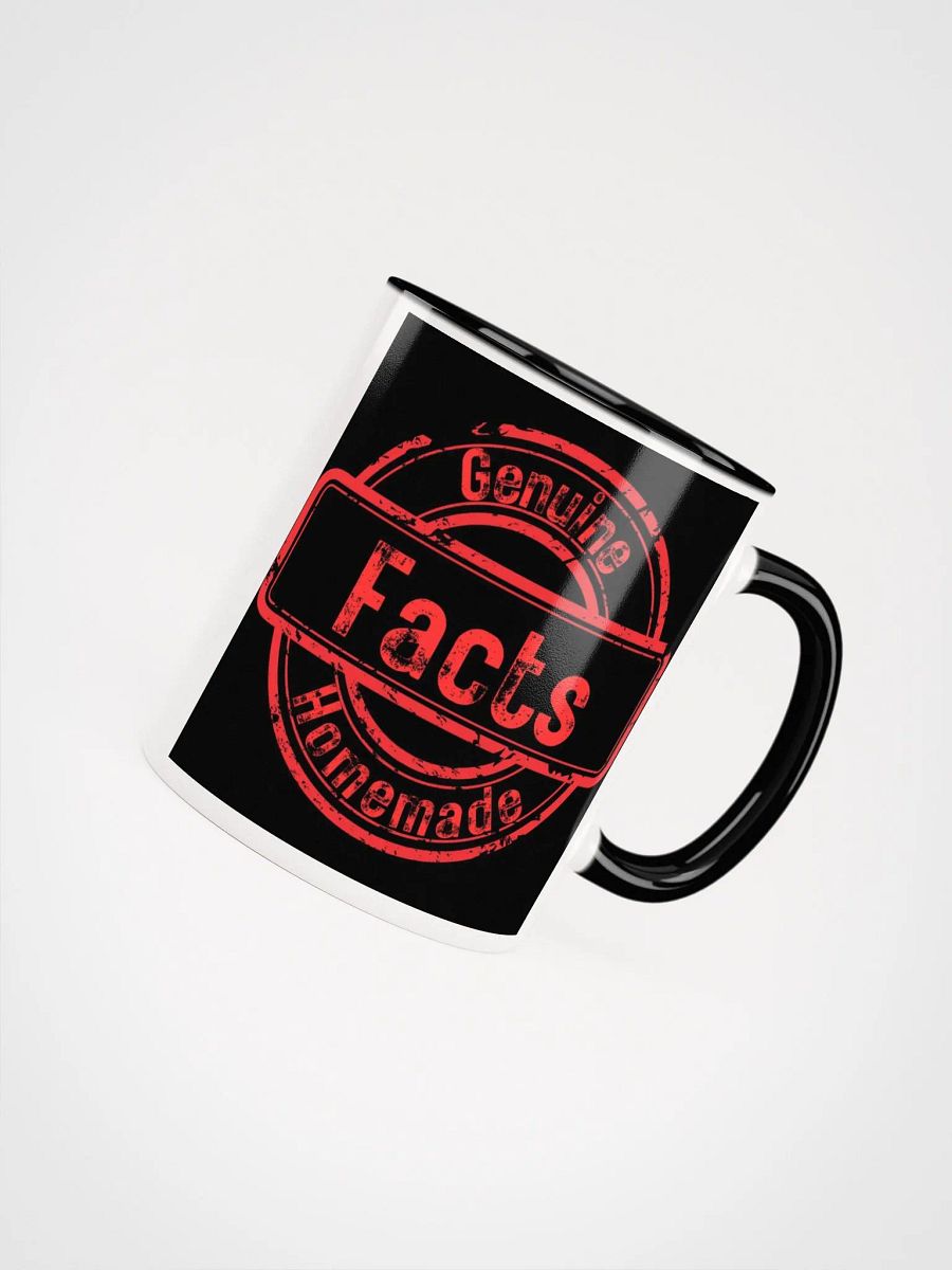 ETHANBOMB - FACTS MUG product image (49)