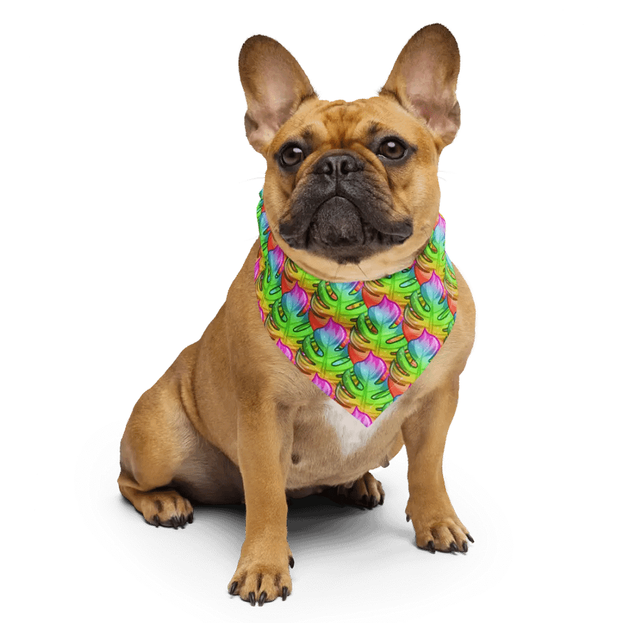 Rainbow Monstera Bandana product image (3)