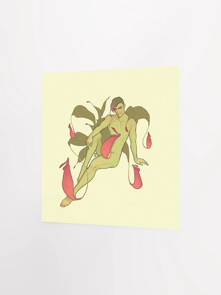 Nepenthes Print product image (2)