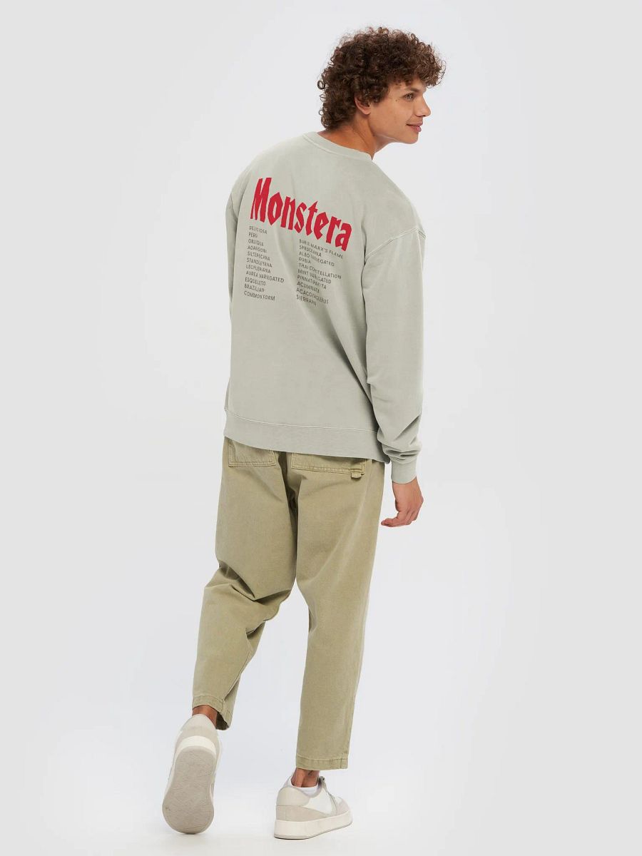 ⚡️ MONSTERA WORLD TOUR ⚡️ unisex midweight pigment dyed sweatshirt product image (4)
