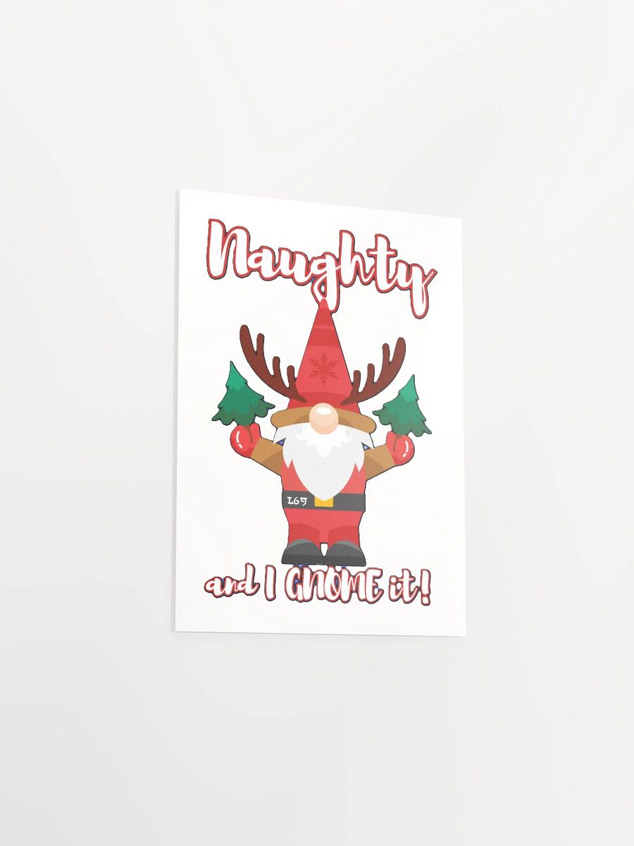 NAUGHTY AND I GNOME IT product image (12)