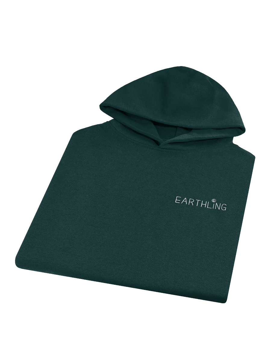EARTHLING Hoodie product image (14)