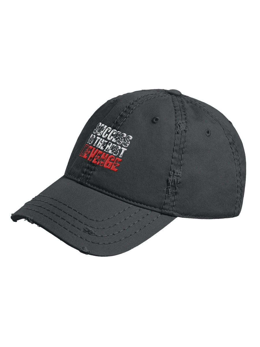 Journey Distressed Dad Hat product image (3)