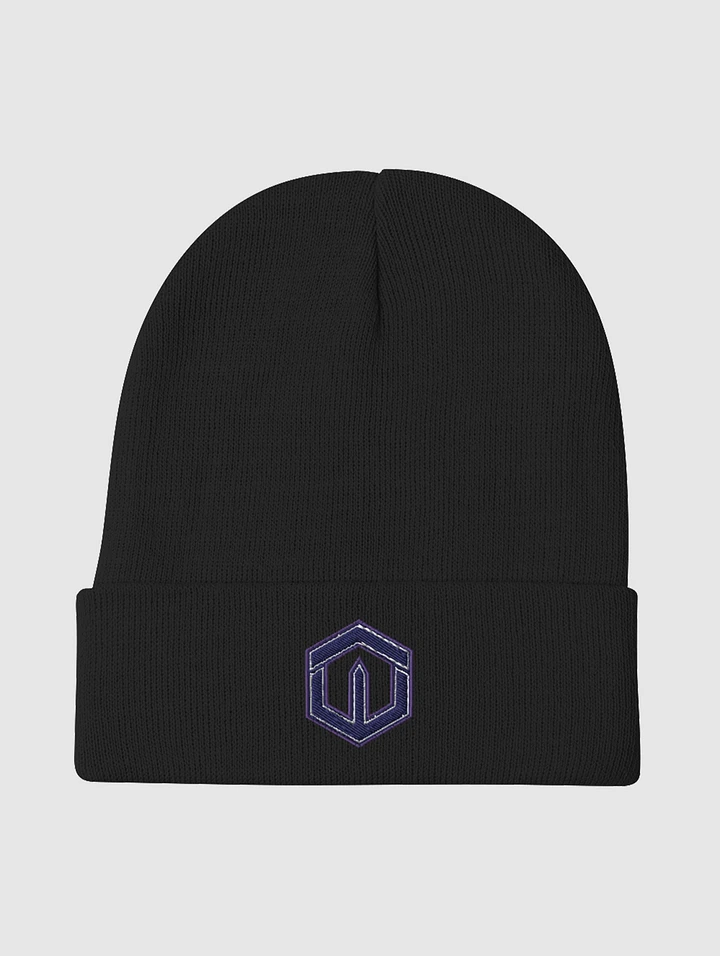 Representing - Embroidered Beanie product image (1)
