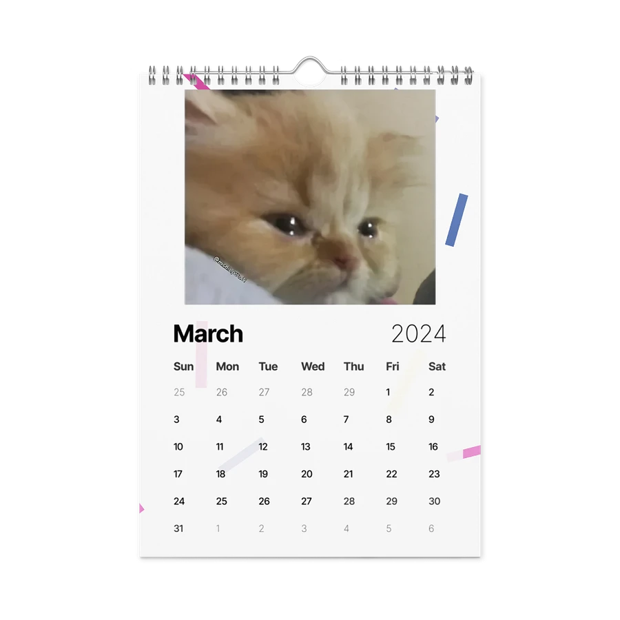 Wall Calendar (2024): Meme Cats product image (13)