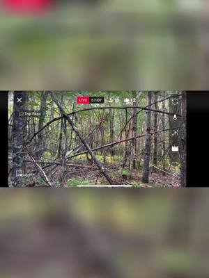 Structures and tree manipulation are part of the research! #Keepclimbing #bigfoot #viralvideo #Yt #fyp 