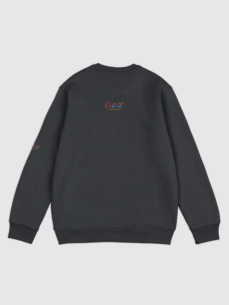 Born to Prosper Unisex Eco Sweatshirt product image (6)