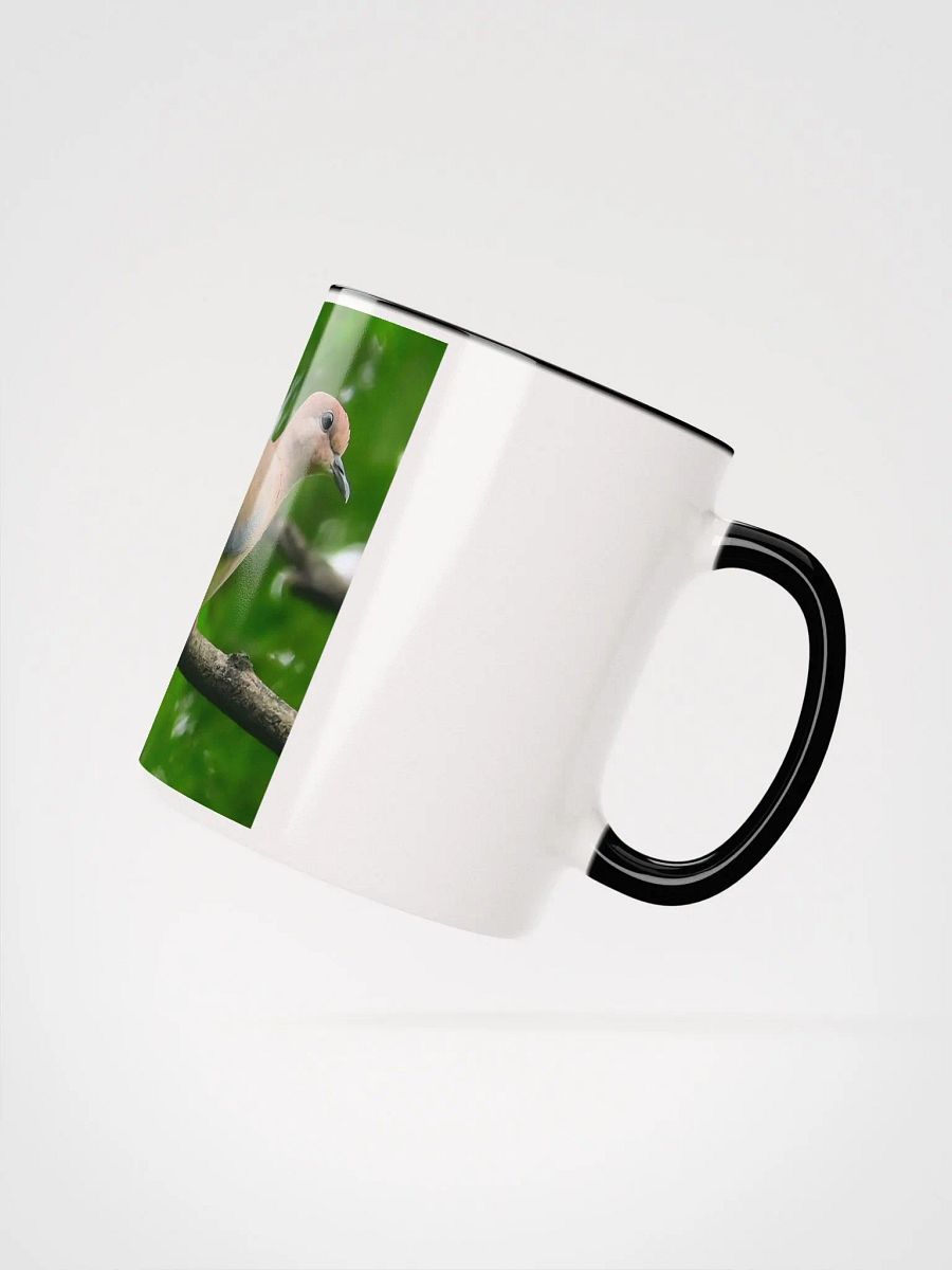 IUCAA Birds MUG product image (20)