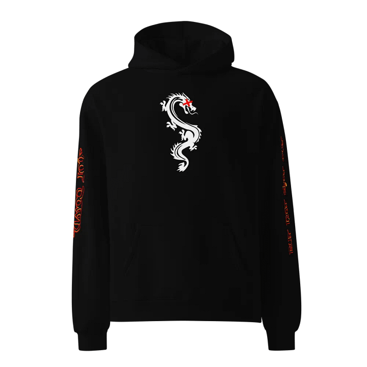 Dragon Hoodie product image (1)