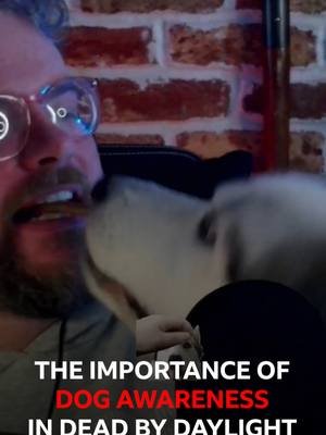 Dog Awareness in #deadbydaylight #dbd #dbdtiktok #husky #huskiesoftiktok