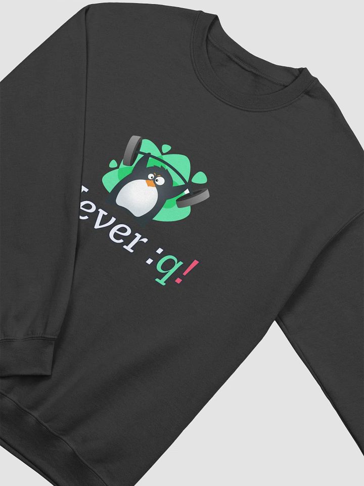 Never Quit Sweatshirt product image (2)