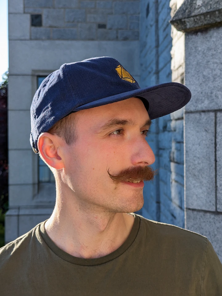 D20 Dad Hat in Corduroy product image (7)