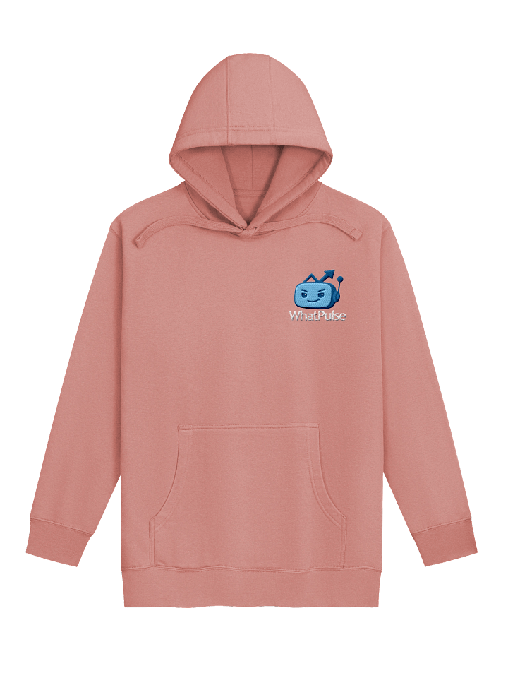 The “Plotting My Keystrokes” Hoodie product image (2)