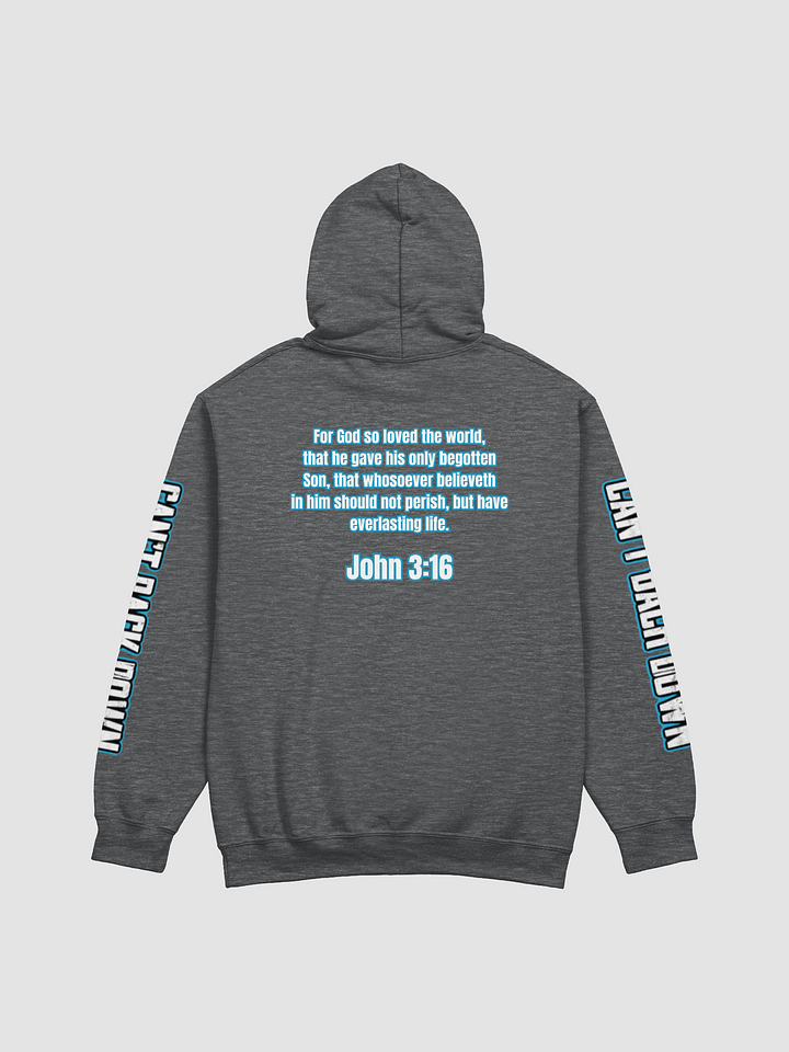 TeNN4OUR (Scripture) Hoodie (John 3:16) product image (6)