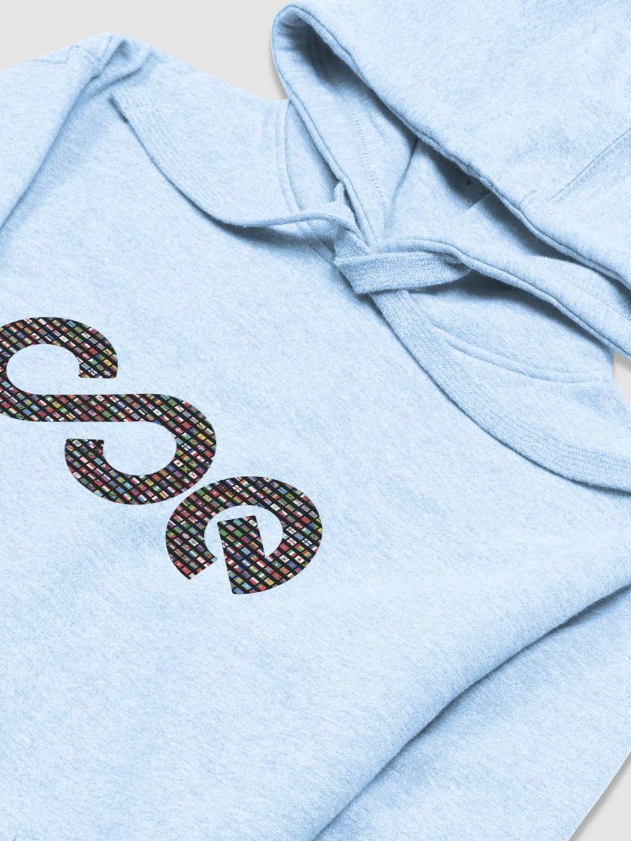 INTERNATIONAL COE HOODIE - MANY FLAGS product image (3)