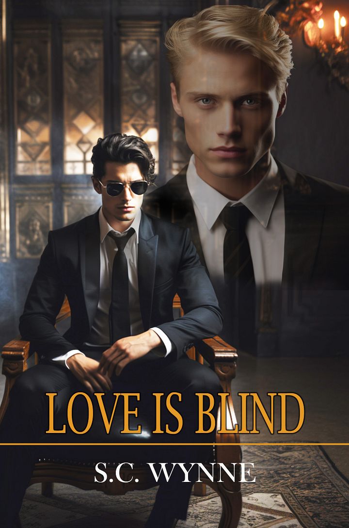 Love is Blind: MM Romance product image (1)