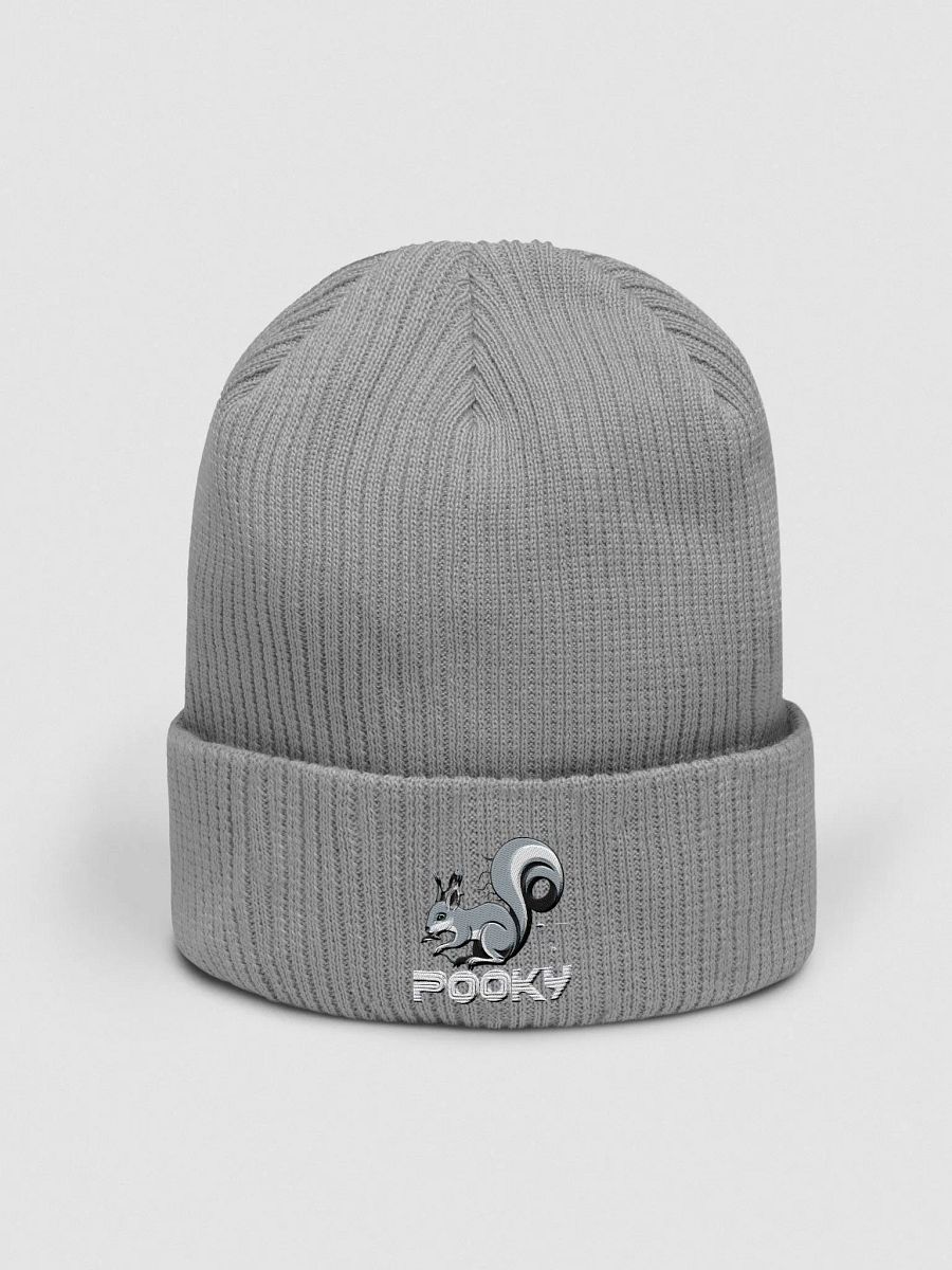 Organic Cotton Embroidered Beanie: POOKY!!!! product image (1)