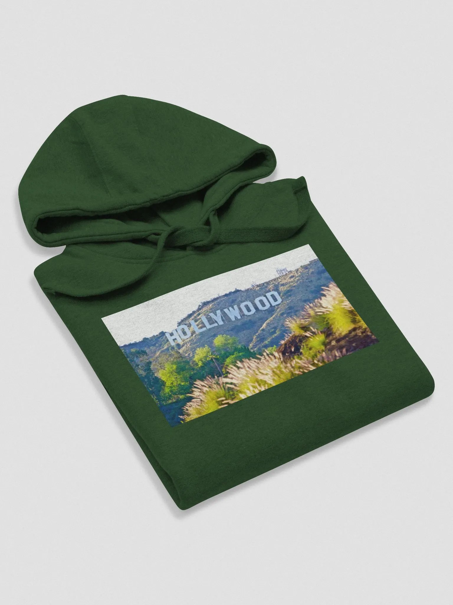 HOLLYWOOD SIGN HOODIE product image (12)