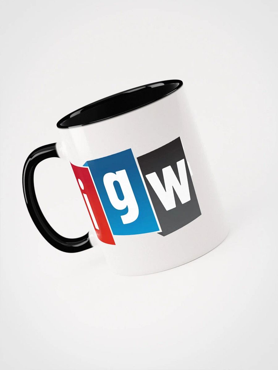 I GOT WRITES - mug product image (6)
