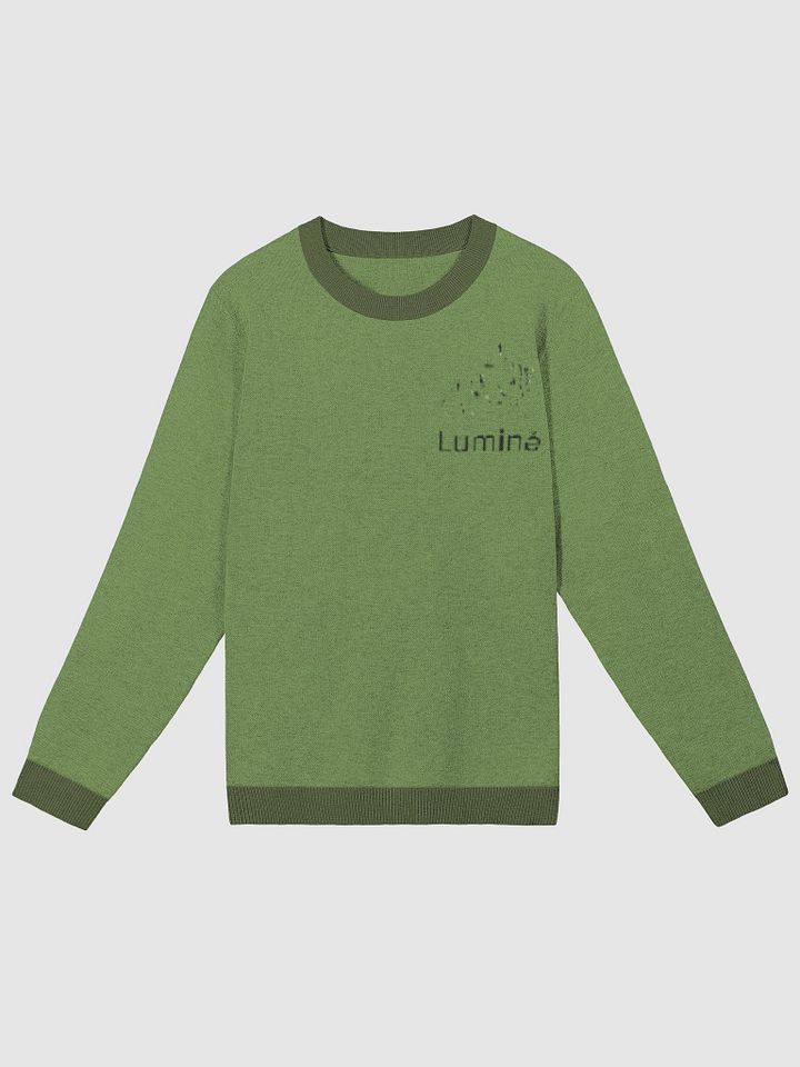 Luminé Knitted Crewneck Sweater (Men) product image (1)