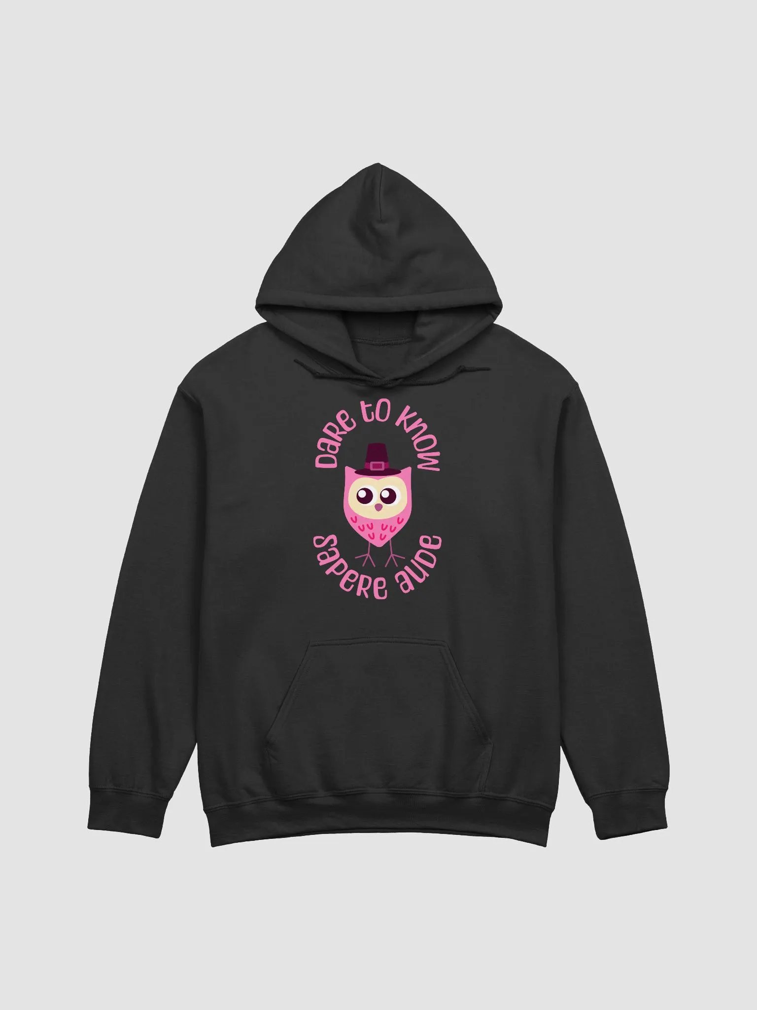 Sapere Aude Hoodie product image (3)