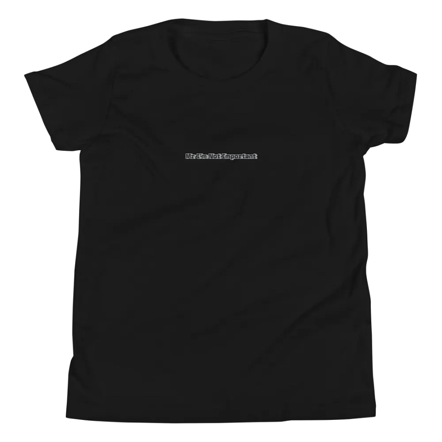 Youth Short Sleeve T-Shirt - Embroidered - Mr I'm Not Important product image (12)