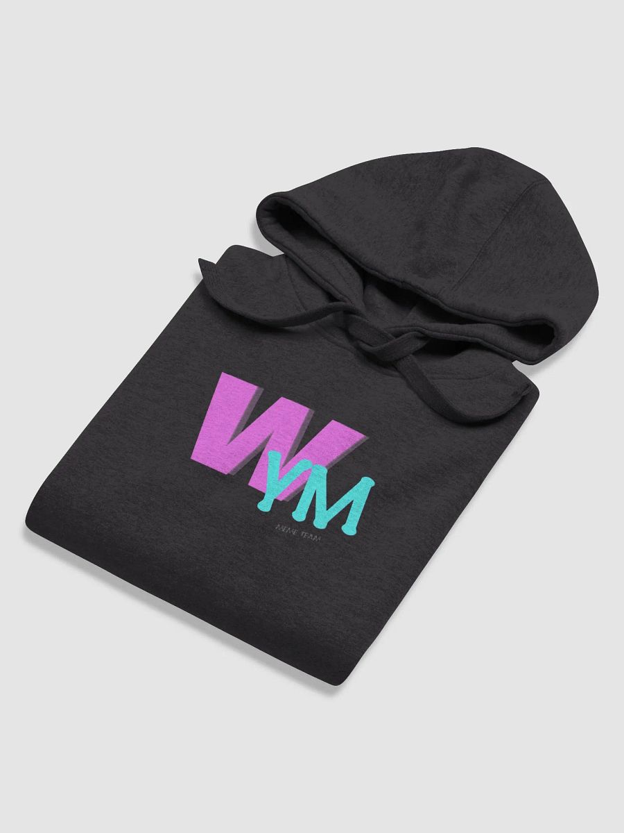 WYM Retro Hoodie product image (5)