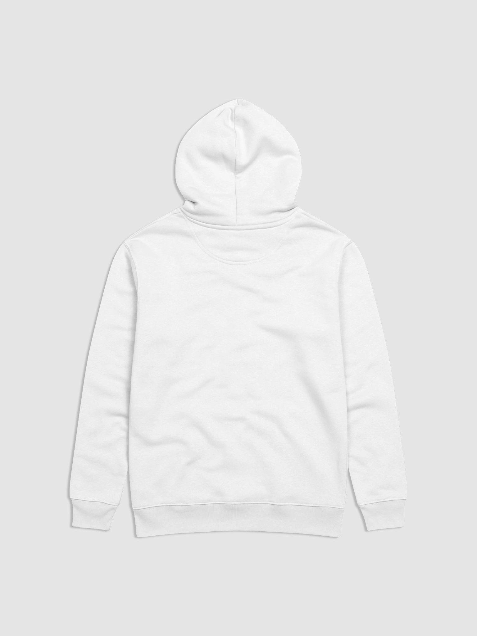 Cosmic Journey Unisex Eco Hoodie product image (2)