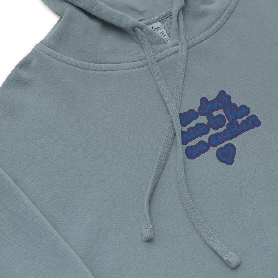 ONE ANOTHER (lake) embroidered pigment hoodie product image (1)