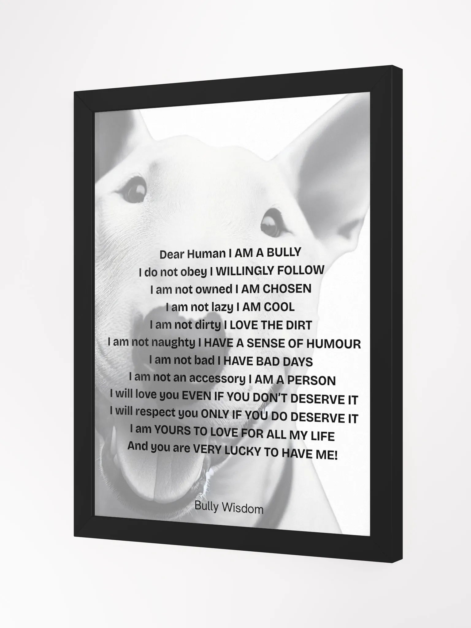 Bull Terrier "Dear Human, I am a Bully" product image (12)