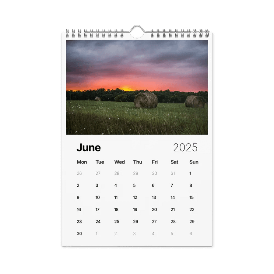 2025 Calendar product image (8)