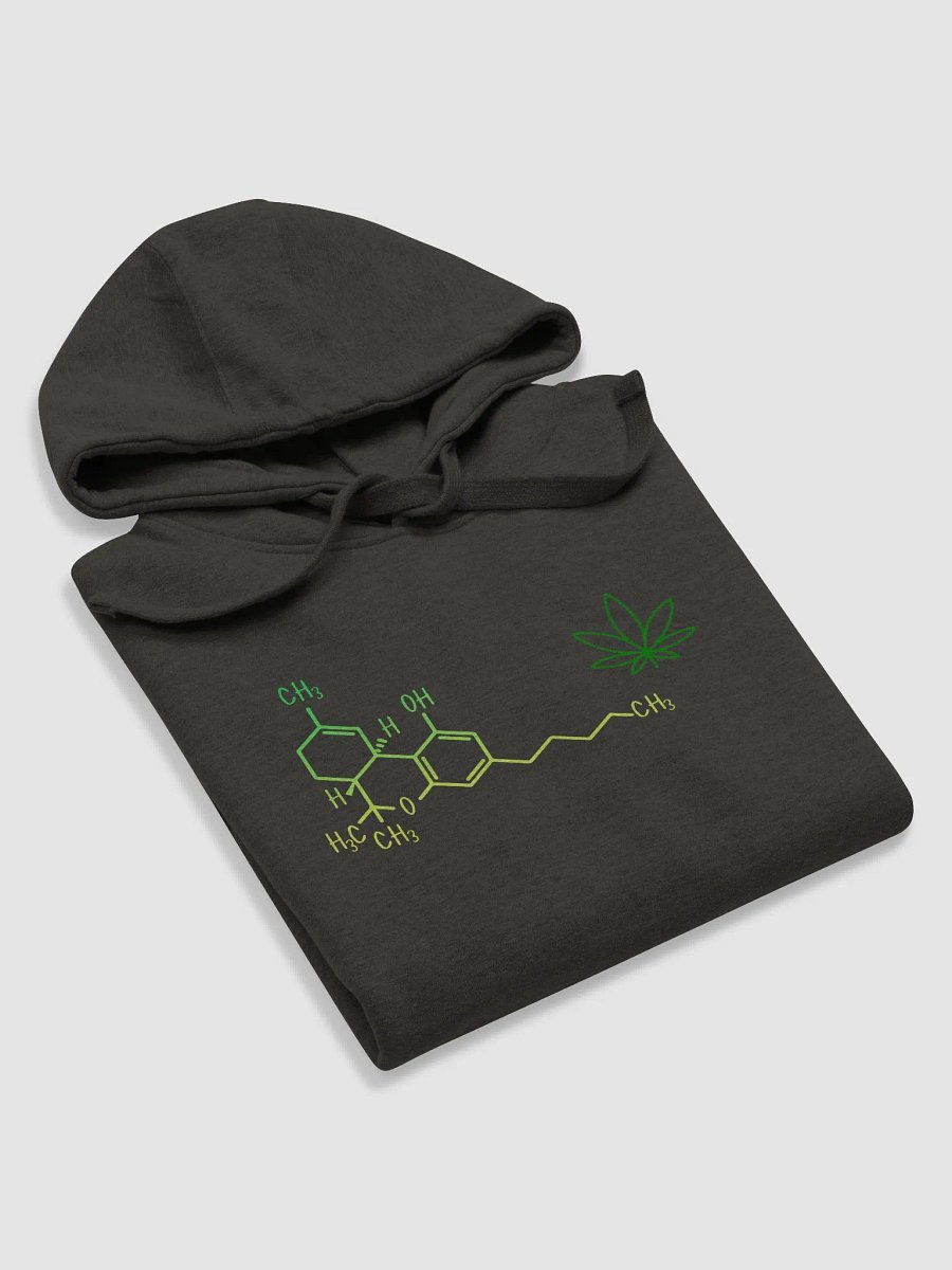 🌿Molecule Hoodie product image (5)