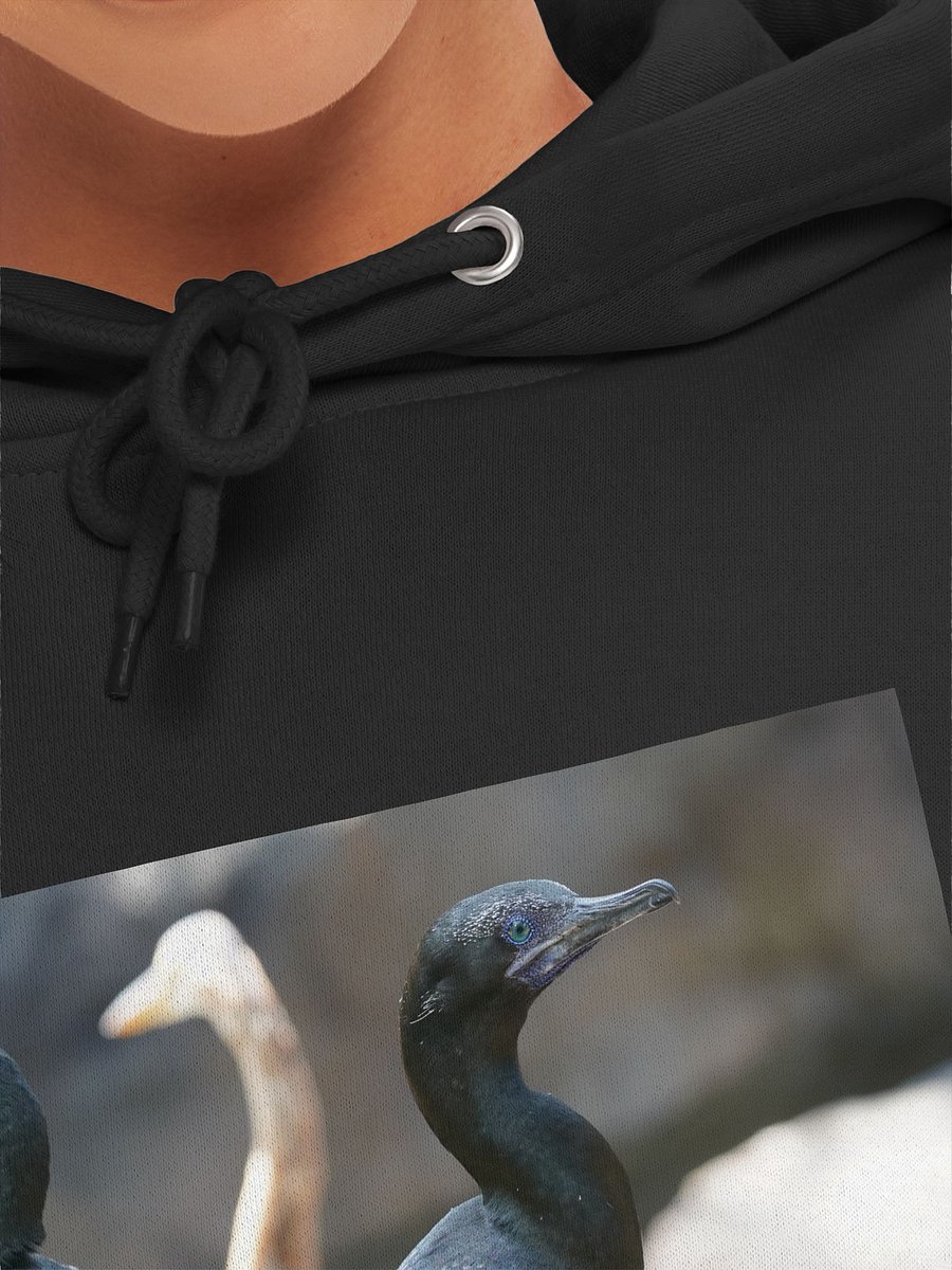 Mystic Avian Encounter Hoodie product image (7)