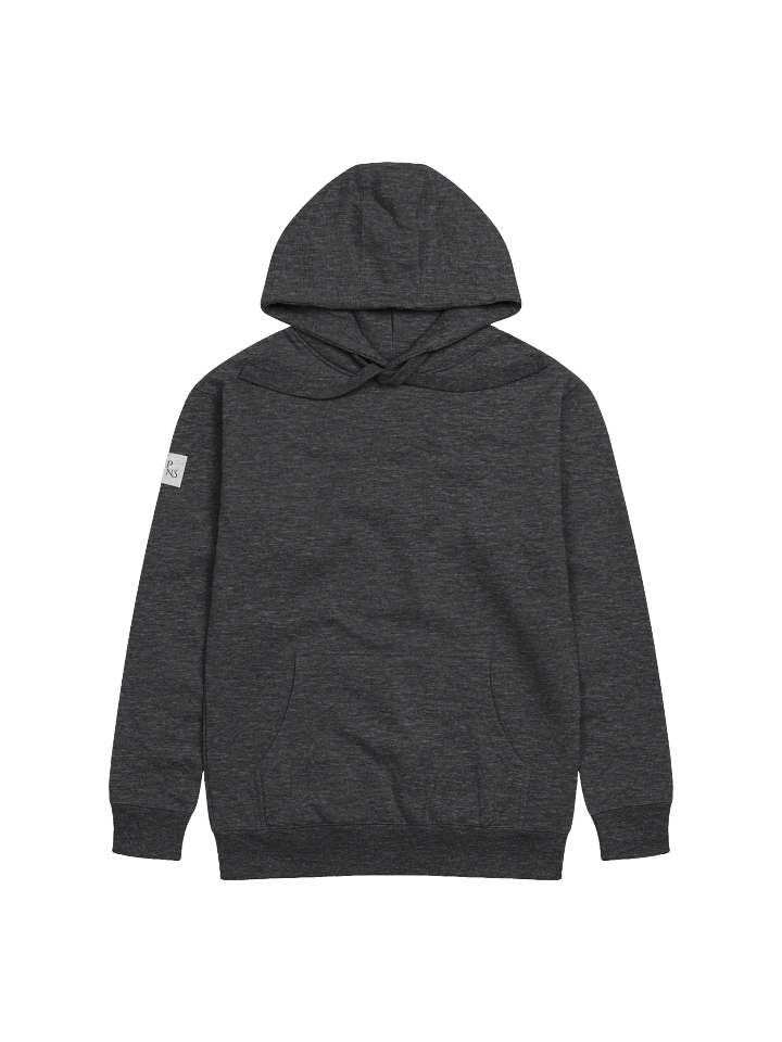 Minimalistic DPNS logo hoodie product image (1)