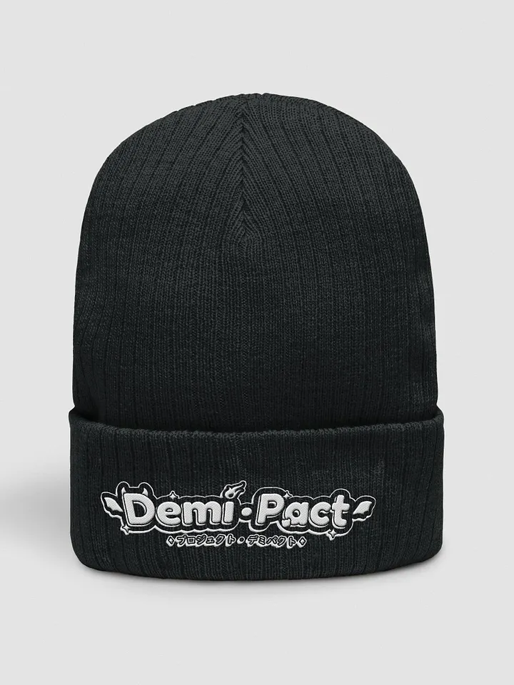 Agency Logo Beanie product image (2)
