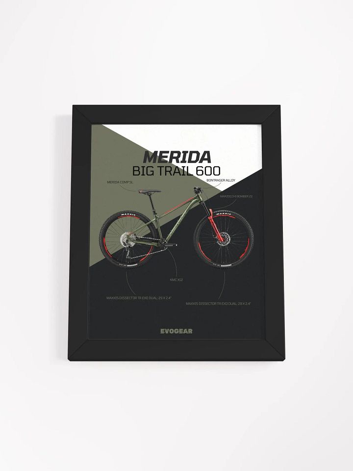 Merida Big Trail 600 Frame product image (2)