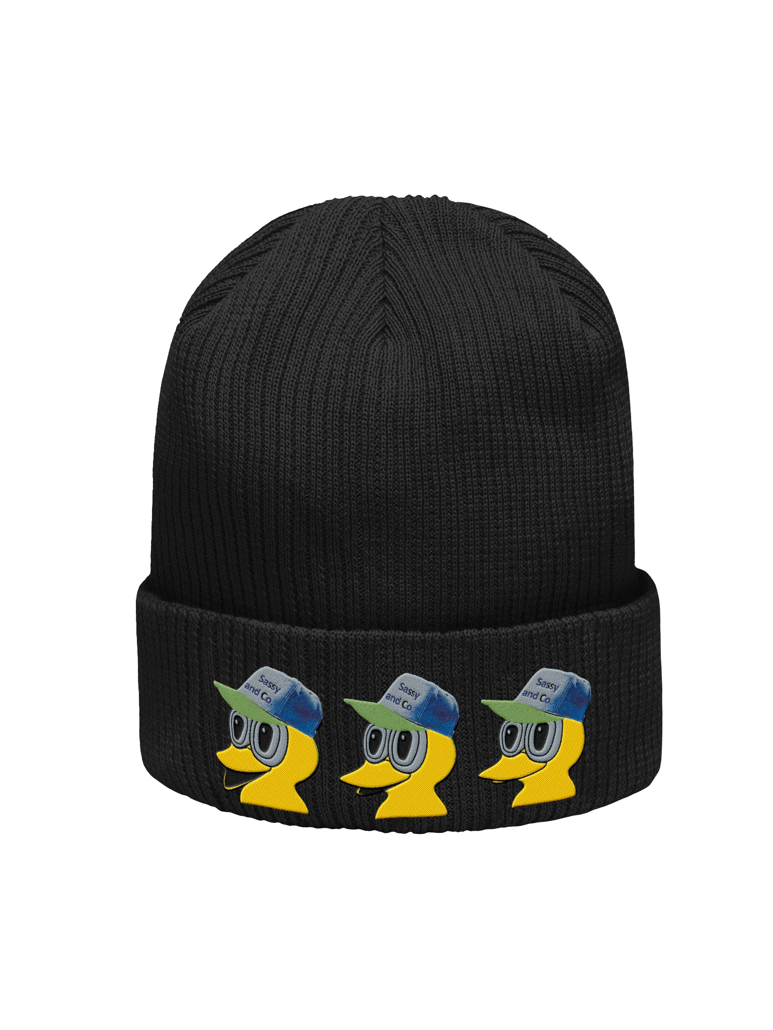 Duck Truckin' Atlantis Organic Ribbed Beanie product image (1)