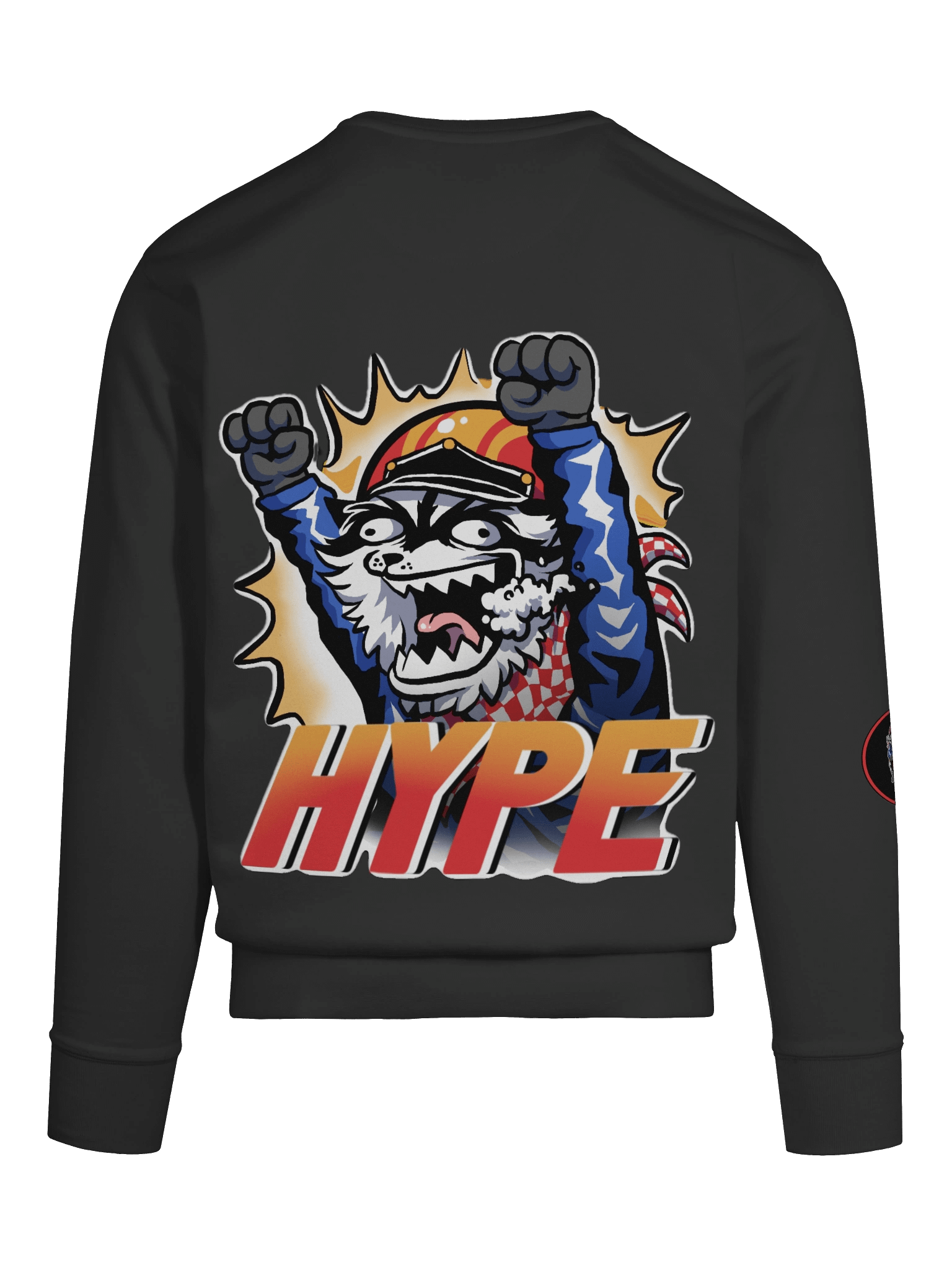 HYPE Longsleeve product image (11)