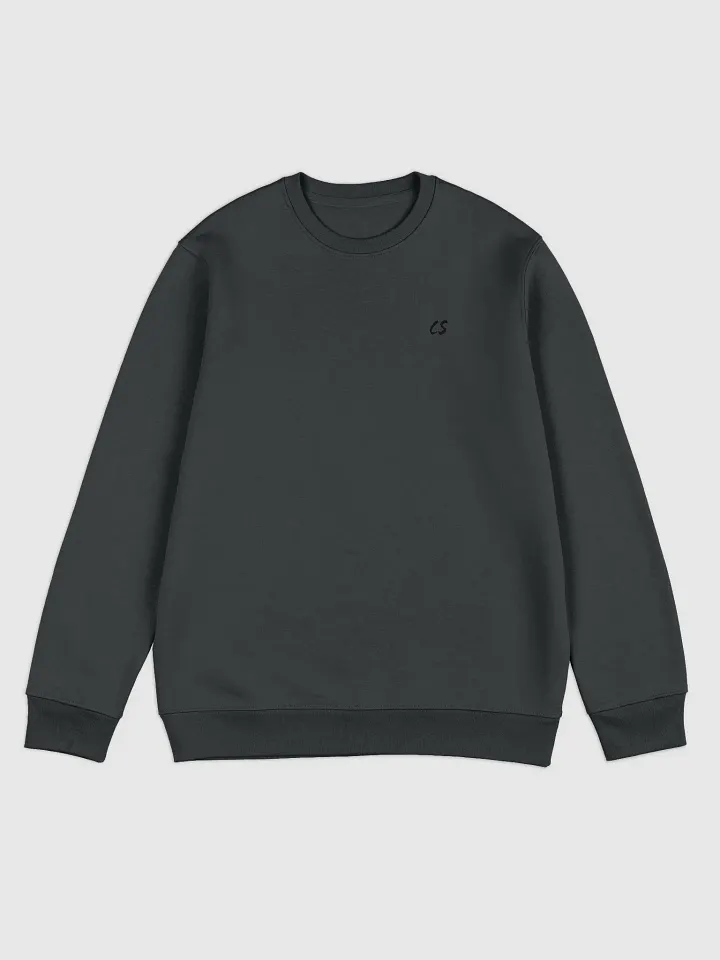CS SweatShirt product image (3)
