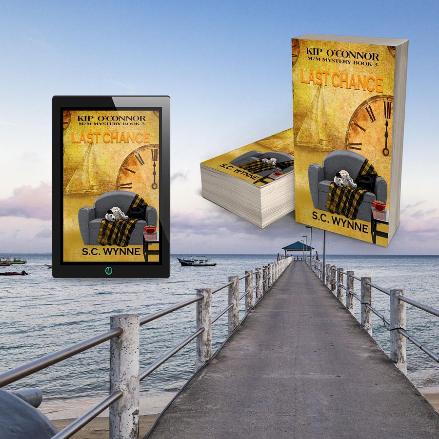 Last Chance (Kip O'Connor M/M Mystery Book 3 product image (2)