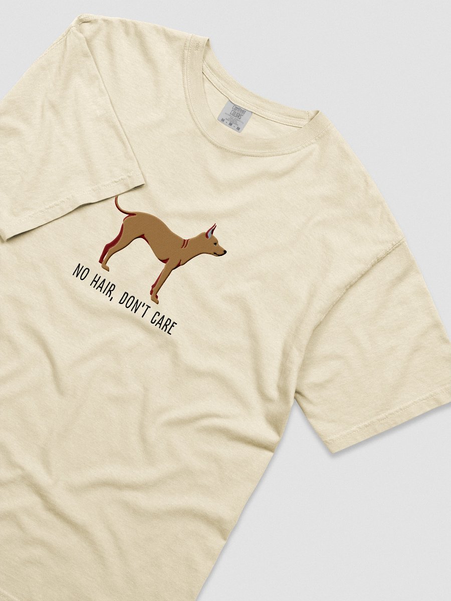 No Hair, Don't Care T-Shirt(Embroidered) of an American Hairless Terrier(Tan) product image (45)