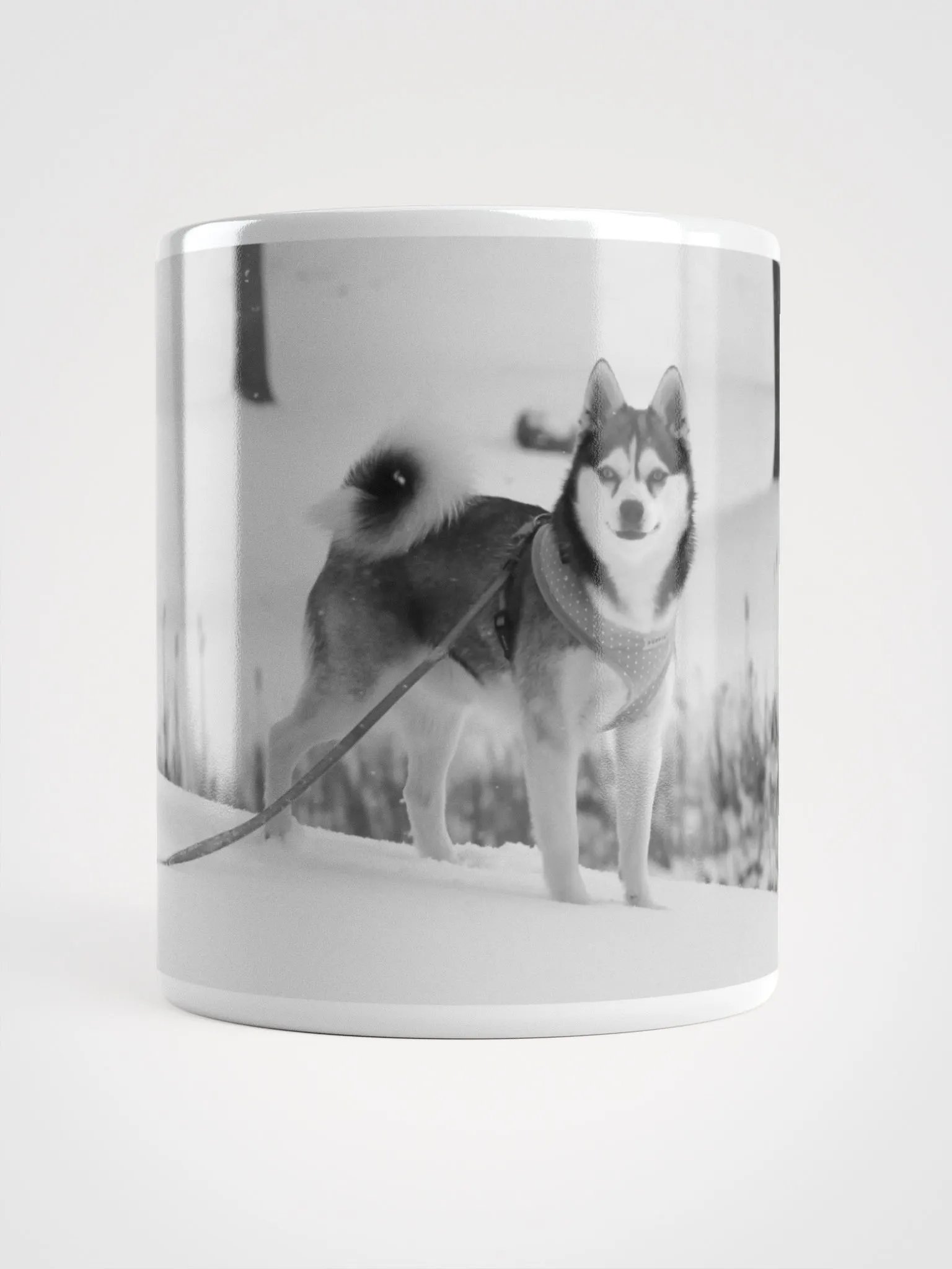 Cute Klee Kai puppy in the snow - B&W product image (1)