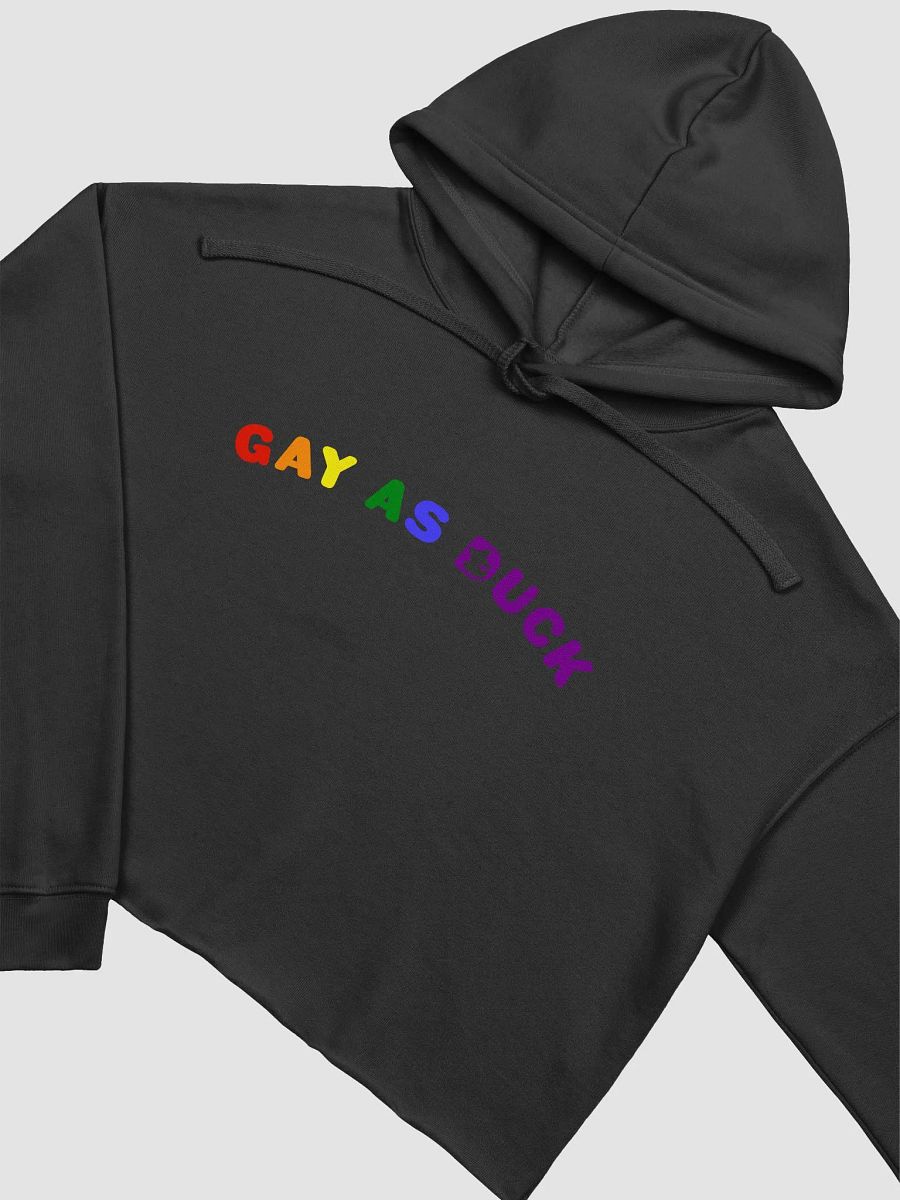 Gay As Duck Crop Hoodie - Pride product image (3)