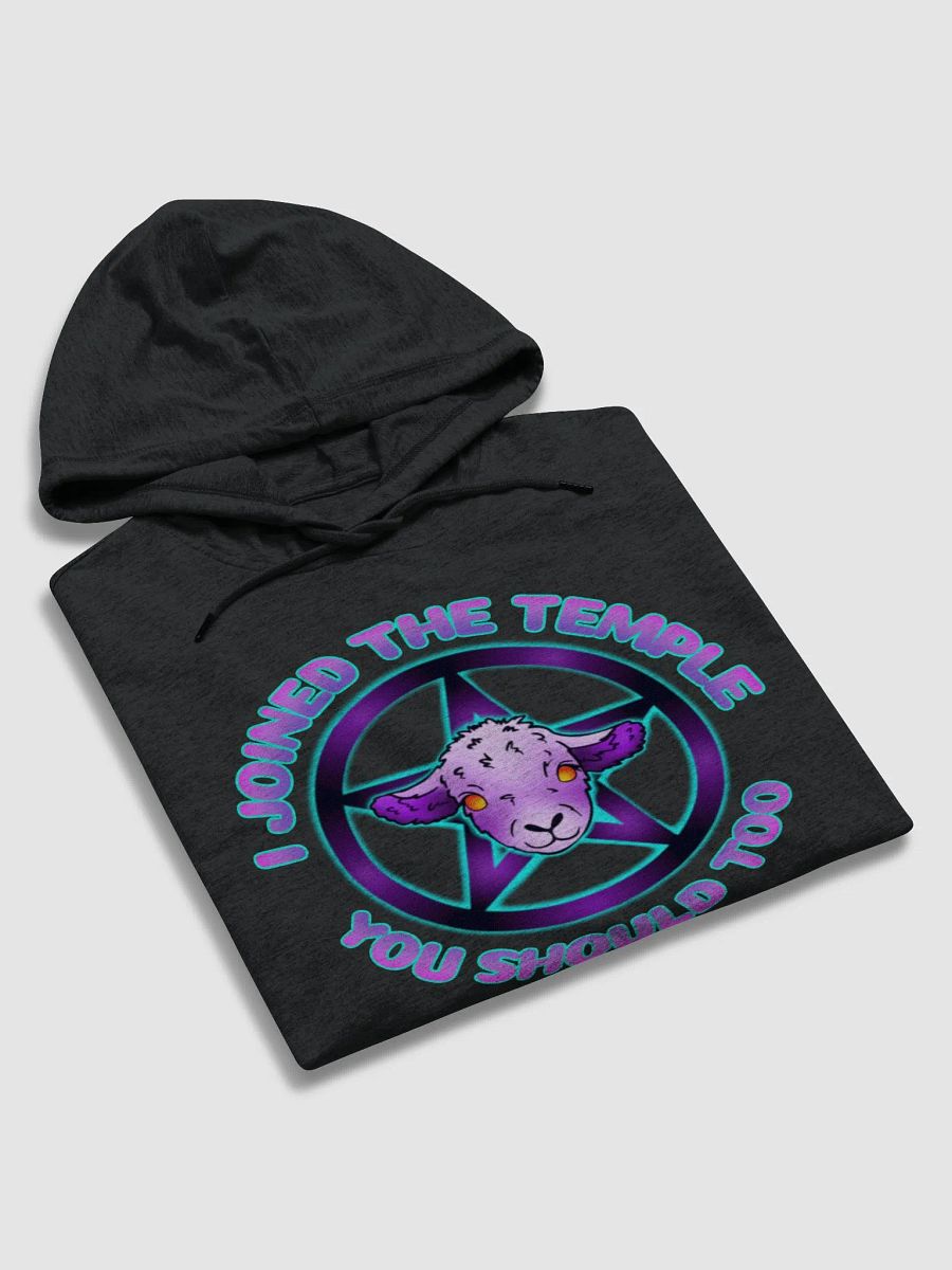 Joined The Temple Hoodie product image (6)