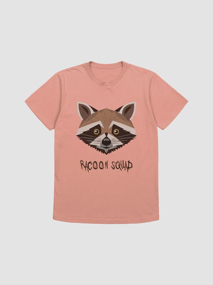 Raccoon Squad product image (1)