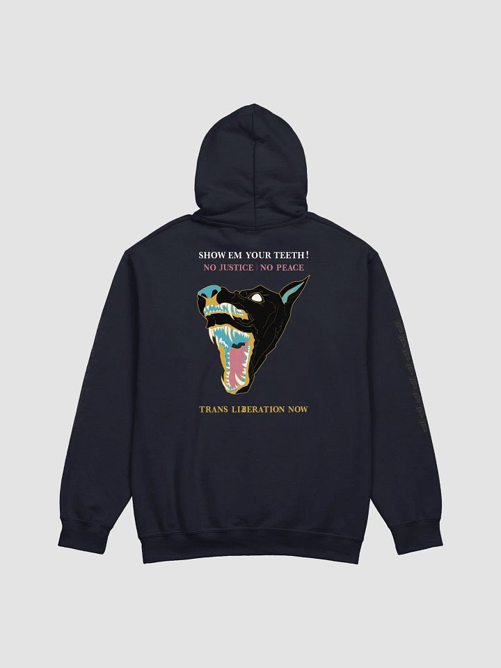 Show Em hoodie 2 product image (2)