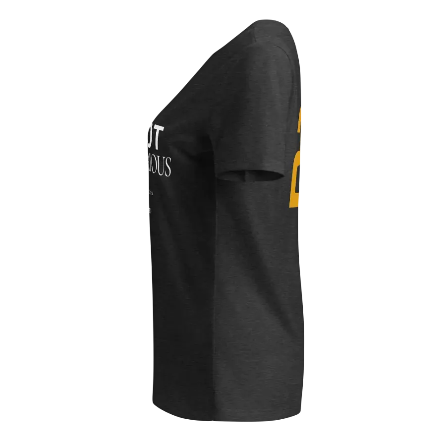 It's Not That Serious Women's V-Neck product image (23)